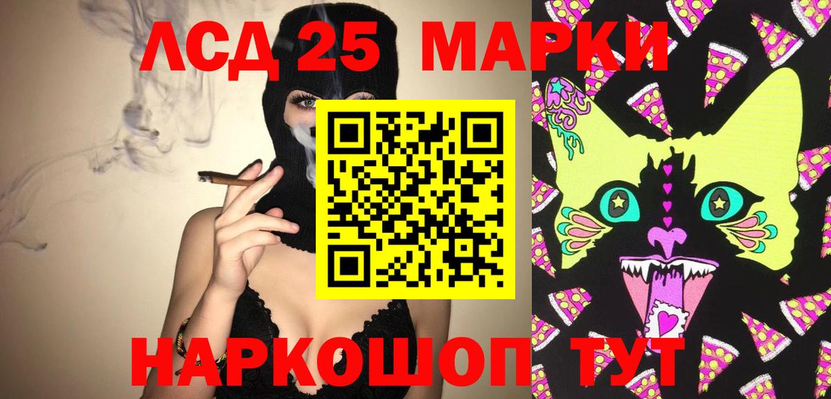 Новокубанск  Лсд 25 экстази кислота  Лсд 25 экстази кислота  Вход с VPN 