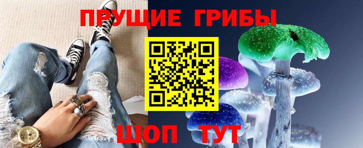 Галлюциногенные грибы Magic Shrooms  где купить   Вход с VPN  Новокубанск  Галлюциногенные грибы Magic Shrooms 